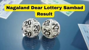 Nagaland Dear Lottery Result Today 22/12/2025 1 PM : Check all Dear Rise Morning Monday Winning Numbers Here