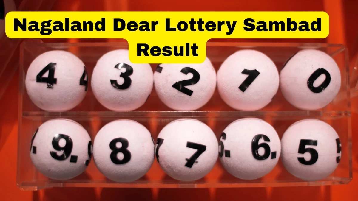 Nagaland Dear Lottery Result Today 28/12/2025 1 PM OUT: Check all Dear Wish Morning Sunday Winning Numbers Here