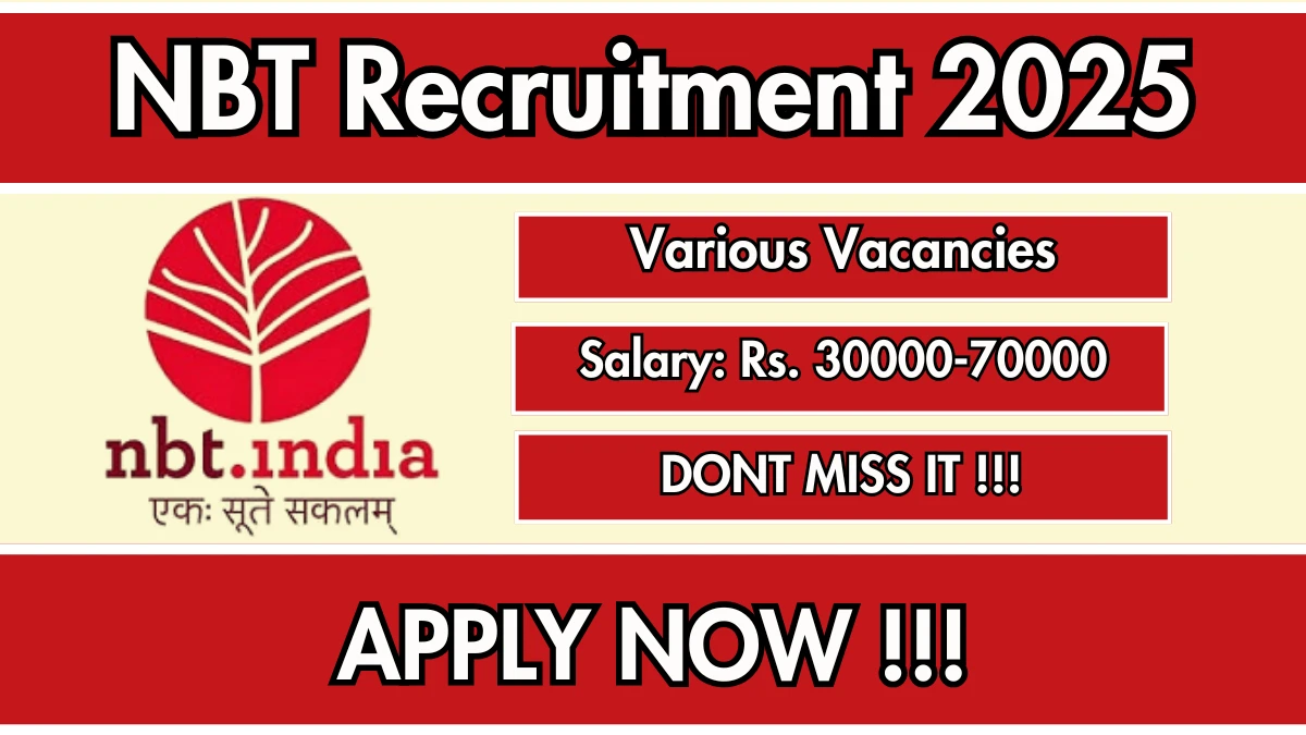 NBT Recruitment 2025 - Apply Offline for 02 Assistant Finance and Operations Manager, Junior Accountant Posts