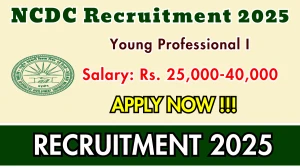 NCDC Young Professional I Recruitment 2025 - Apply Offline for 04 Posts NCDC Young Professional I Recruitment 2025 - Apply Offline for 04 Posts