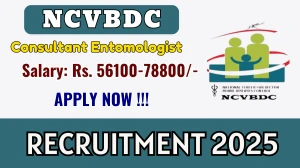 NCVBDC Consultant Entomologist Recruitment 2025 – Walk in for 03 Posts NCVBDC Consultant Entomologist Recruitment 2025 – Walk in for 03 Posts