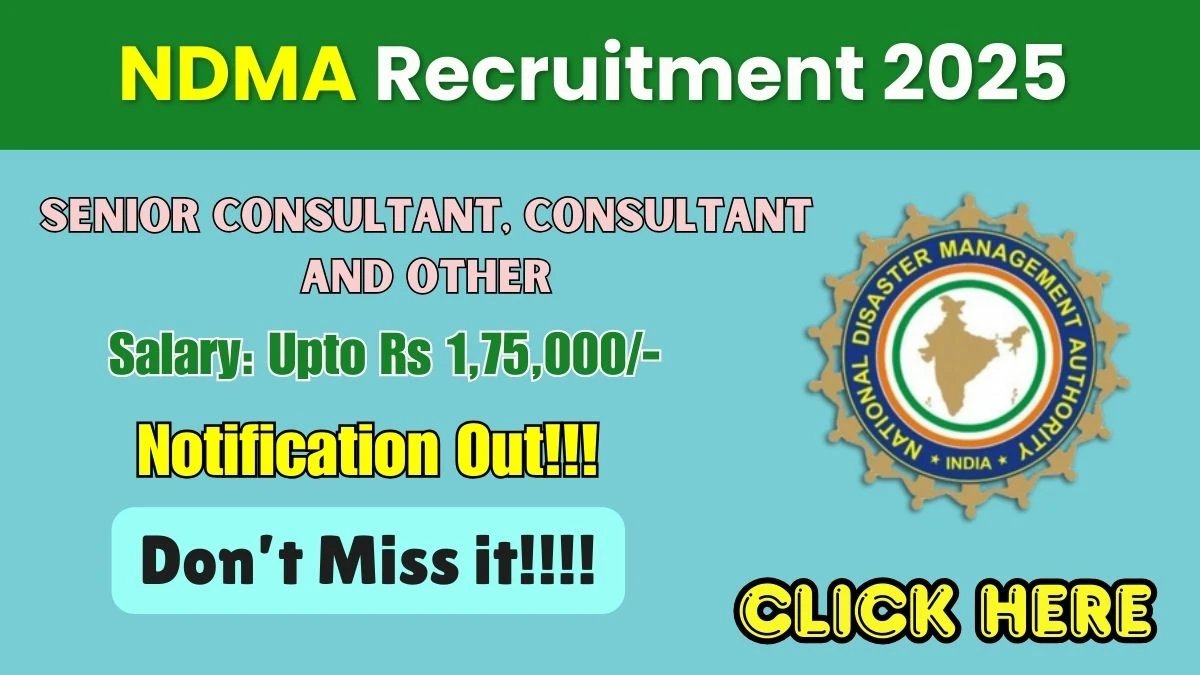 NDMA Recruitment 2025 - Apply Online for 04 Senior Consultant, Consultant  and Other Posts