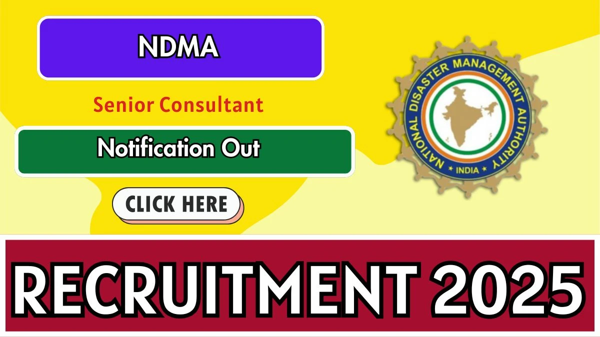 NDMA Senior Consultant Recruitment 2025 - Apply Online