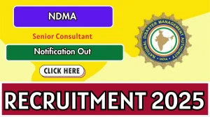 NDMA Senior Consultant Recruitment 2025 - Apply Online
