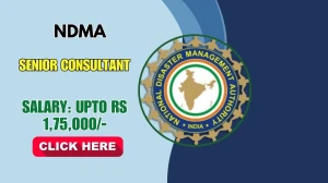 NDMA Senior Consultant Recruitment 2026 - Apply Online for 01 Posts
