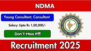 NDMA Recruitment 2025 - Apply Online for 02 Young Consultant, Consultant Posts