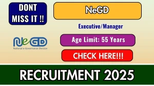 NeGD Executive/Manager Recruitment 2025 - Apply Online for 06 Posts