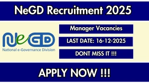 NeGD Manager Recruitment 2025 – Apply Online NeGD Manager Recruitment 2025 – Apply Online
