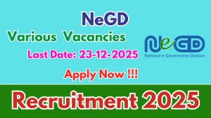 NeGD Recruitment 2025 - Apply Online for 05 Project Manager, Data Analyst and More Posts