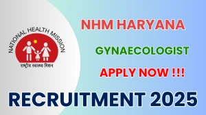 NHM Haryana Gynaecologist Recruitment 2025 - Apply Offline