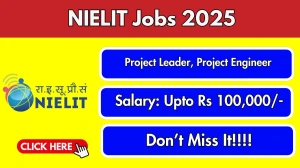 NIELIT Recruitment 2025 - Apply Offline for 02 Project Leader, Project Engineer Posts