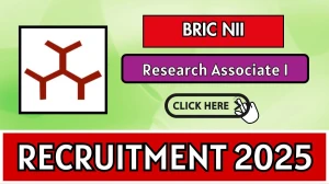 NII Research Associate I Recruitment 2025 - Apply Offline