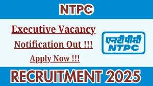 NTPC Executive Recruitment 2025 – Apply Online for 15 Posts