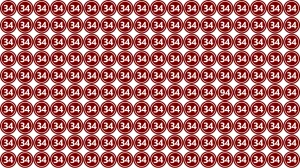 Observation Find it Out: Within 5 Seconds Spot The Number 94 among 34