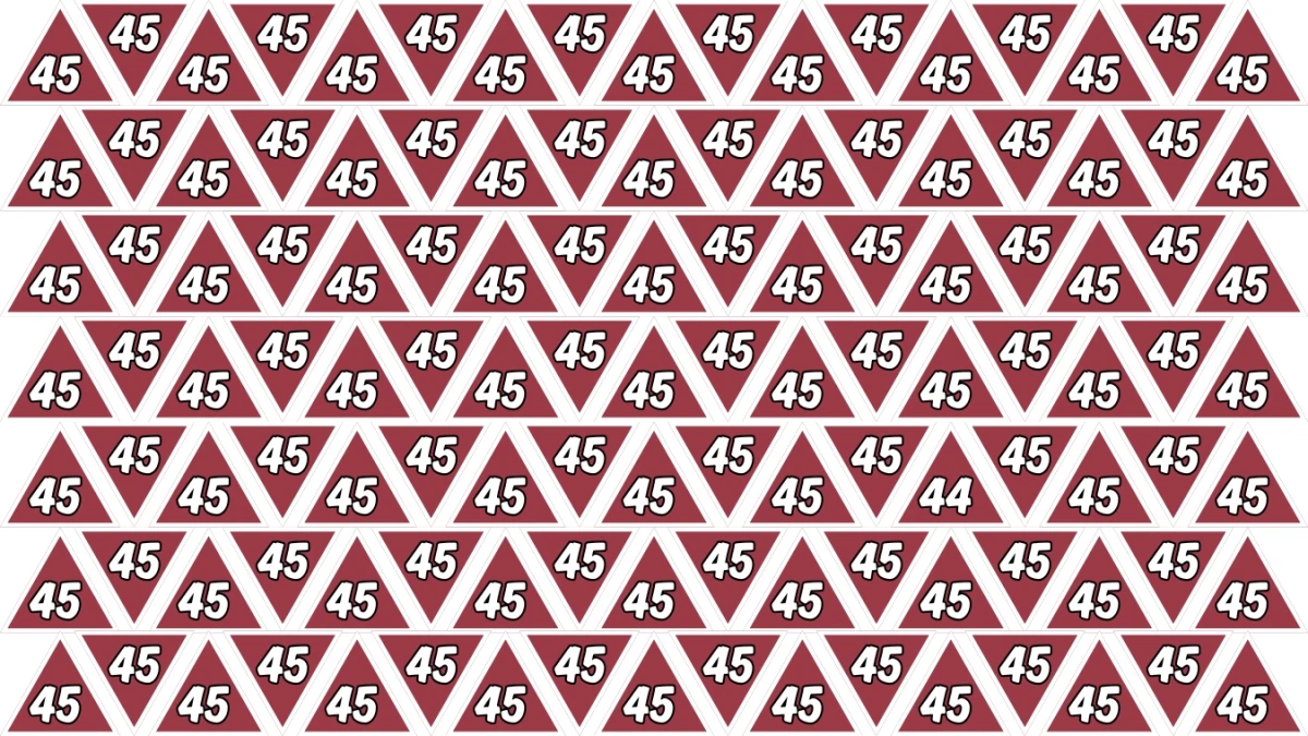 Observation Find it Out: Within 7 Seconds Spot The Number 44 among 45