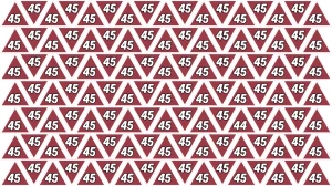 Observation Find it Out: Within 7 Seconds Spot The Number 44 among 45