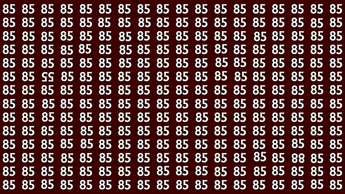 Only People with 20/20 Vision Can Spot the Inverted 55 and 88 Among 85 – Can You Find Them?