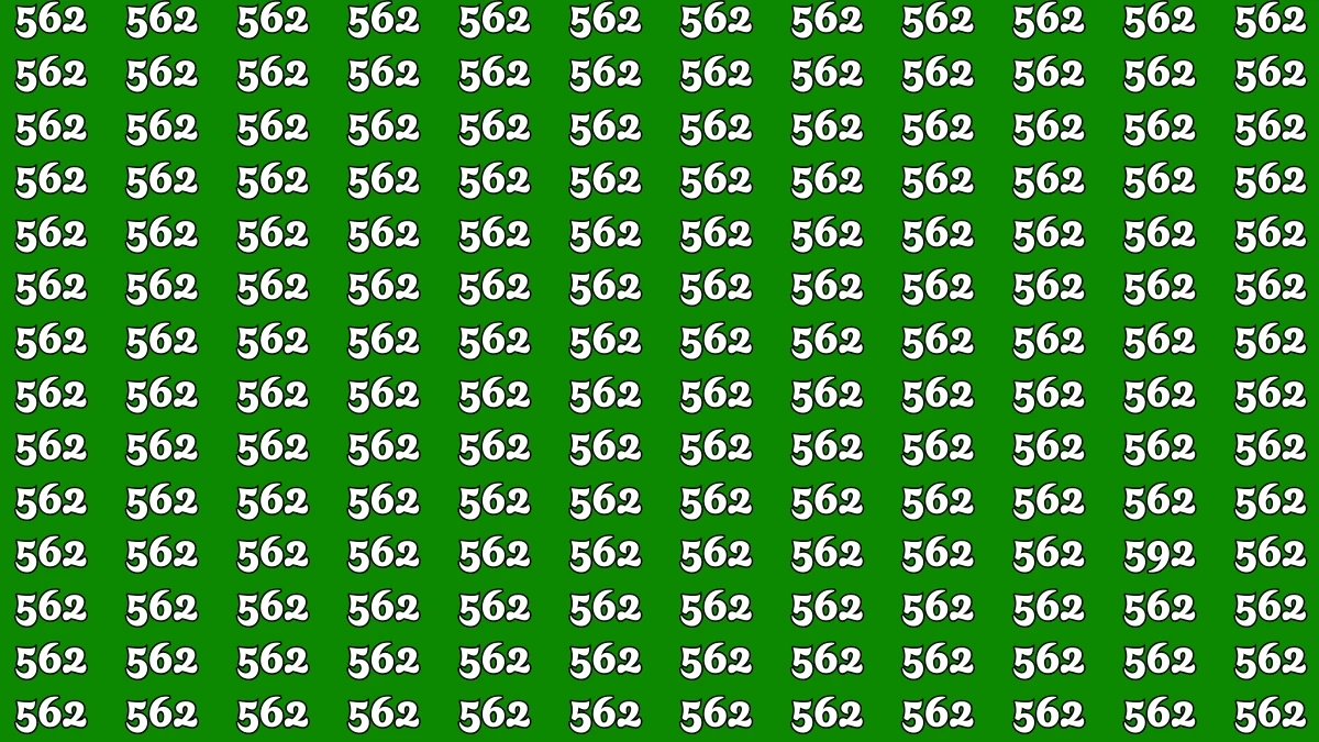 Only Sharp Eyes Can Spot 592 Hidden Among 562 in Just 7 Seconds — Are You One of Them?