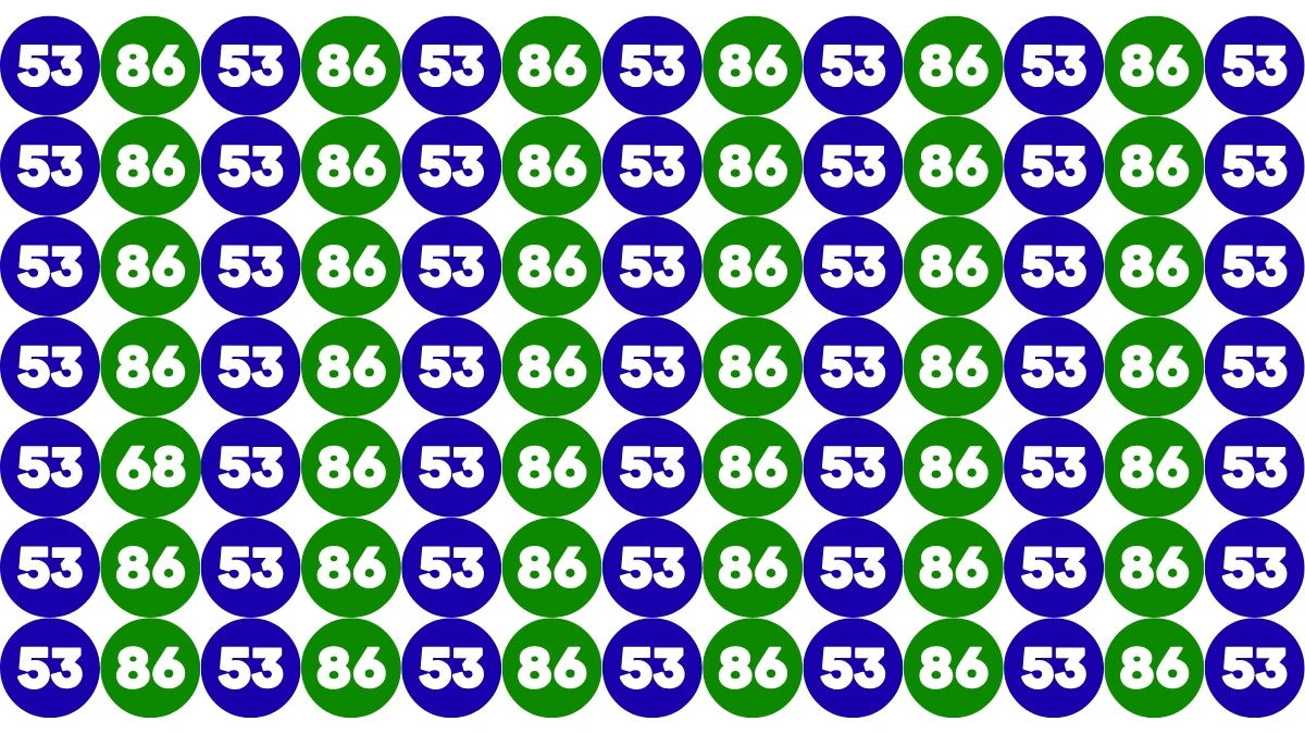 Only Sharp Eyes Can Spot the Hidden 68 Among 53 and 86 — Can You Find It in 7 Seconds?