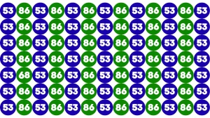 Only Sharp Eyes Can Spot the Hidden 68 Among 53 and 86 — Can You Find It in 7 Seconds?