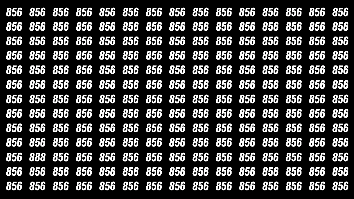 Optical Illusion Challenge: Only a Person with High IQ Level Can Spot the Hidden Number 888