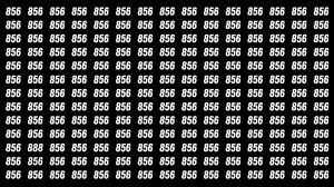 Optical Illusion Challenge: Only a Person with High IQ Level Can Spot the Hidden Number 888