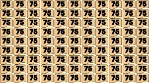 Optical Illusion Find it Out: Within 5 Seconds Spot The Number 57 among 75