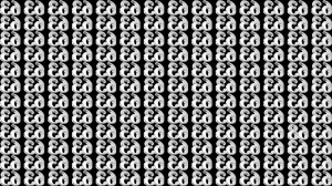 Optical Illusion IQ Test: Are You A Genius? Within 13 Seconds Spot The Inverted ...