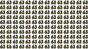 Optical Illusion: Only People with 50/50 Vision Can Spot the Inverted 93 and 63 among 63
