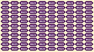Optical Illusion Puzzle IQ Test: Only People with Sharp Eyes Can Spot the Number 8625 Among 8623 in 6 Seconds