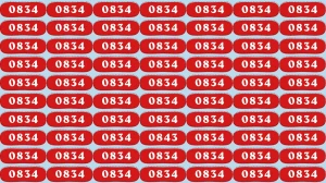 Optical Illusion Puzzle IQ Test: Within 8 Seconds Spot The Number 0843 among 0834