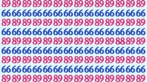 Optical Illusion: Within 7 Seconds Spot The Number 88 among 89 and 66