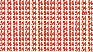Optical Illusion: Within 8 Seconds Spot The Inverted Number 54 and 65 among 54