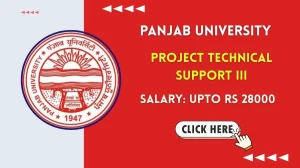 Panjab University Project Technical Support III Recruitment 2025 - Apply Offline
