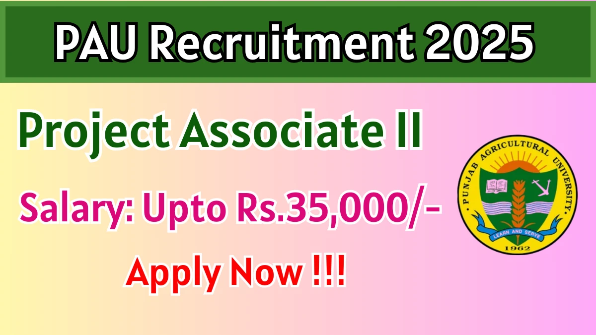 PAU Project Associate II Recruitment 2025 - Apply Offline