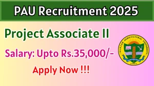 PAU Project Associate II Recruitment 2025 - Apply Offline