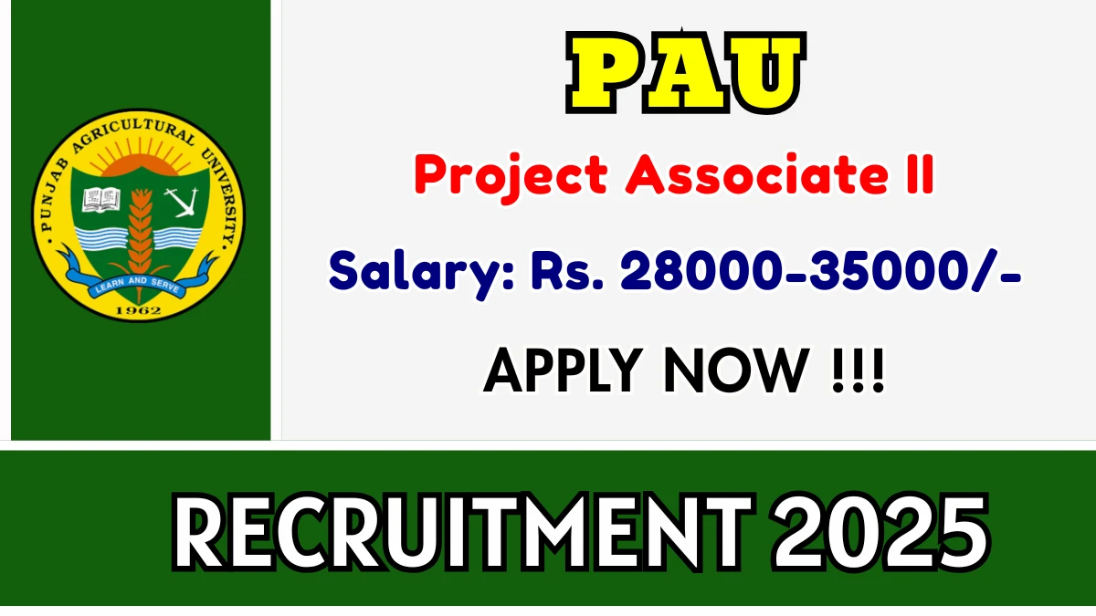 PAU Project Associate II Recruitment 2025 – Apply Online for 01 Posts
