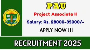 PAU Project Associate II Recruitment 2025 – Apply Online for 01 Posts PAU Project Associate II Recruitment 2025 – Apply Online for 01 Posts