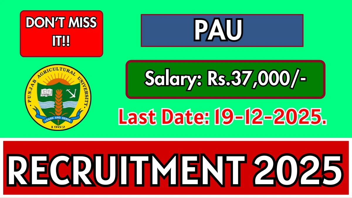 PAU Senior Research Fellow Recruitment 2025 - Apply Offline for 1 Posts