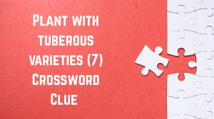 Plant with tuberous varieties Crossword Clue Irish Daily Mail Quick 7 letters An...