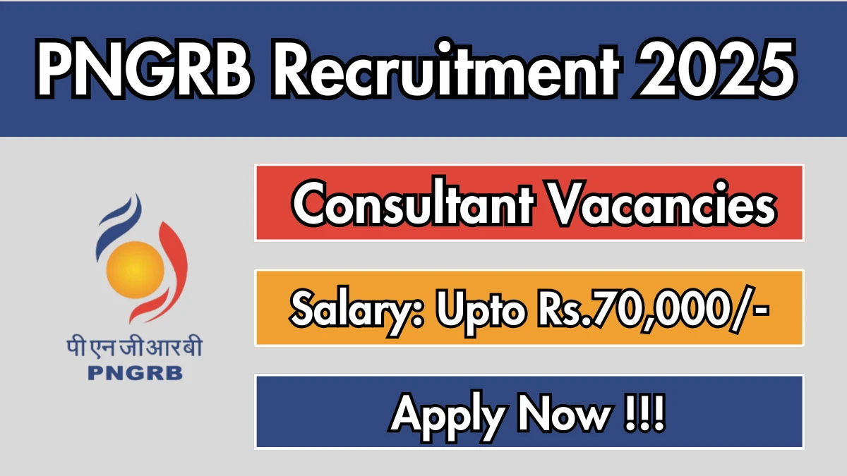 PNGRB Consultant Recruitment 2025 - Apply Offline
