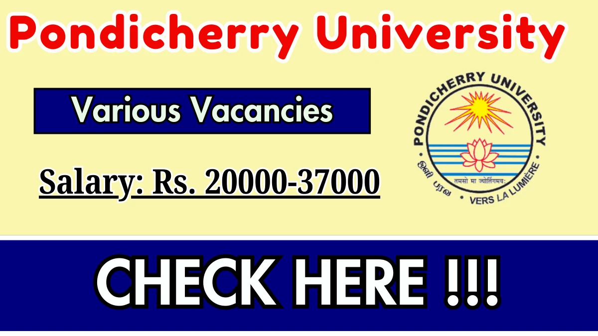 Pondicherry University Recruitment 2025 – Walk in for 08 Project Associate I, Technical Assistant Posts