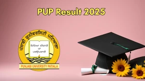 PUP Result 2025 Out at punjabiuniversity.ac.in Direct Link to Download UG and PG Course Result PUP Result 2025 Out at punjabiuniversity.ac.in Direct Link to Download UG and PG Course Result