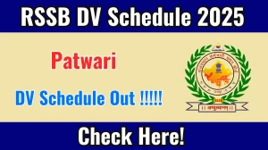 RSSB Rajasthan Patwari DV Schedule 2025 OUT @ rssb.rajasthan.gov.in - Check Dates, Required Documents and More