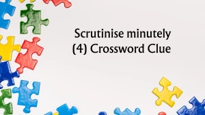 Scrutinise minutely (4) Crossword Clue Irish Daily Mail Quick 4 letters Answer
