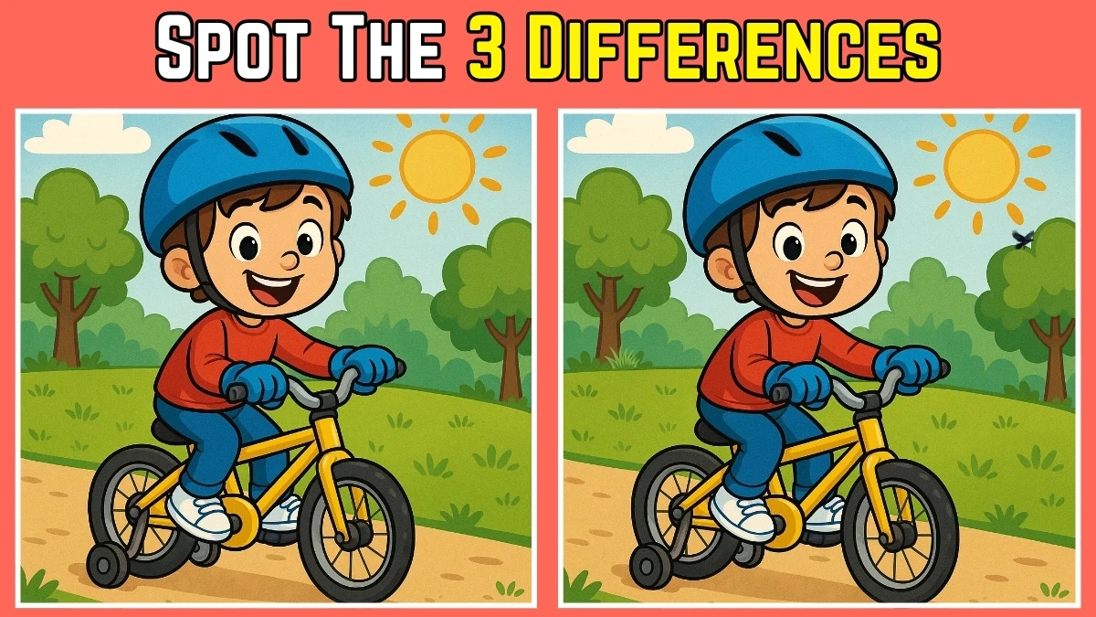 Spot 3 differences between the Boy riding Bicycle Pictures in 10 seconds!