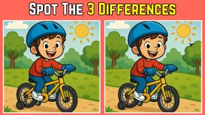 Spot 3 differences between the Boy riding Bicycle Pictures in 10 seconds!