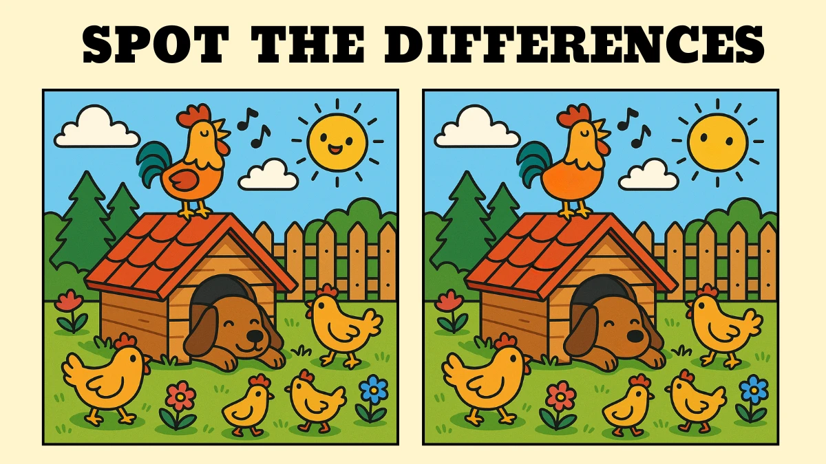 Spot 3 differences between the Dog House pictures - Can You Find Them in 10 Seconds