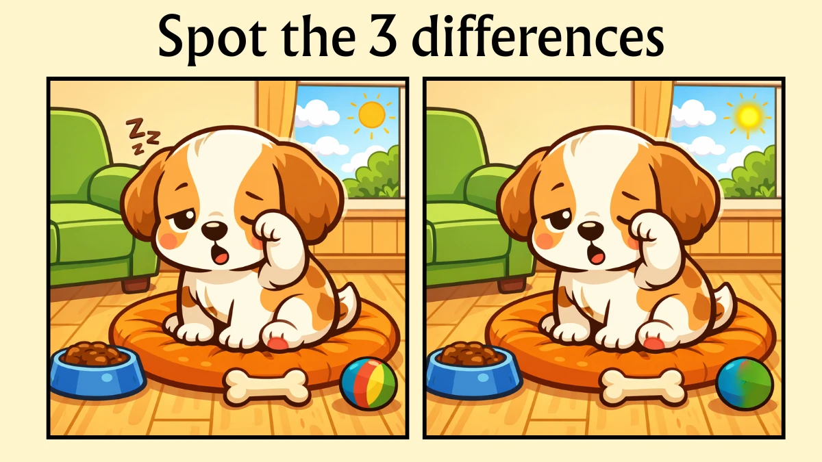 Spot 3 Differences Between the Lazy Dog Pictures in 10 Seconds!
