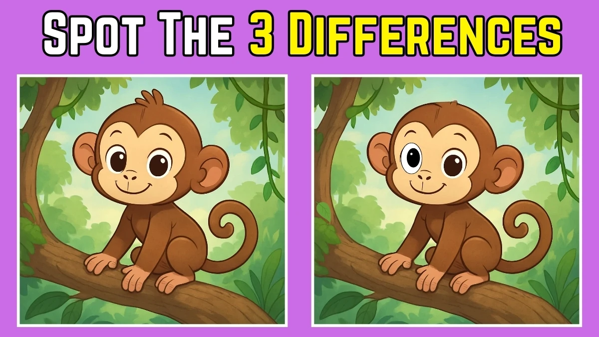 Spot 3 differences between the Monkey Pictures in 8 seconds!